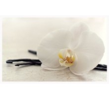 Орхидея и ваниль, отдушка 50 г (ароматическая композиция по мотивам)