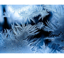 Winter Fresh, 10 г, отдушка Украина (ароматическая композиция по мотивам)