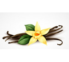 Vanilla Spark, 100 г, отдушка Украина (ароматическая композиция по мотивам)
