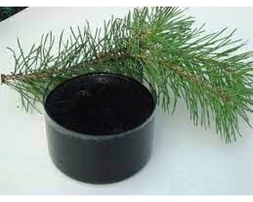 Хлорофилло - каротиновая паста, 20 г