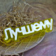 Лучшему (надпись) ТД, 1 шт, форма пластик