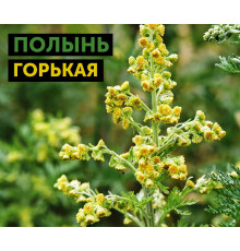 Полынь горькая, 10 мл, натуральное эфирное масло