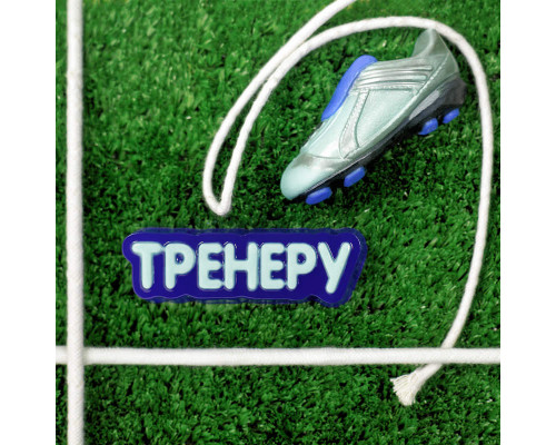 Тренеру (надпись) ТД, 1 шт, форма пластик