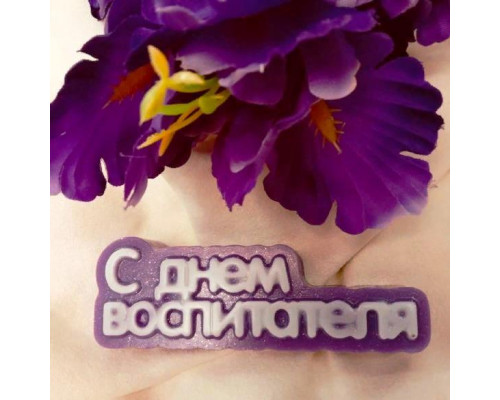 С днем воспитателя (надпись) ТД, 1 шт, форма пластик