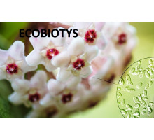ECOBIOTYS аналог Unisurrection S-61, 100 г