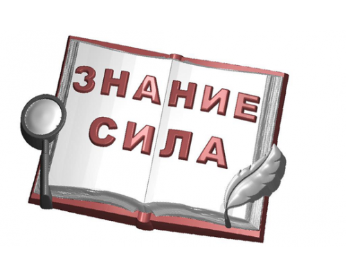 Знание сила БП, 1 шт, форма пластиковая